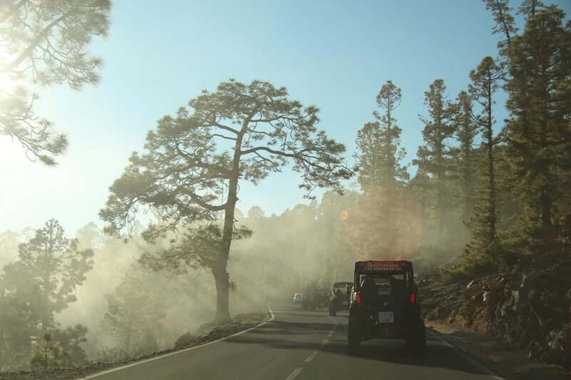 Tenerife: MORNING - 3H Buggy tour of Teide - What to Expect at Each Stop