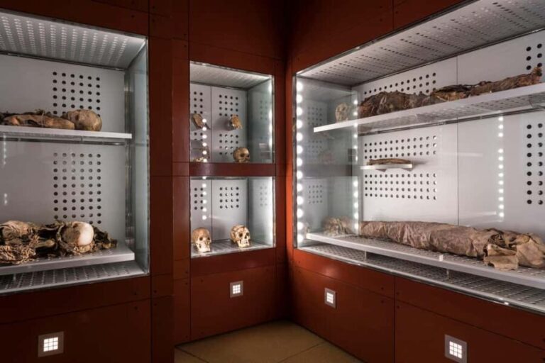 Tenerife: MUNA Museum Admission Ticket and Teide Legend Tour - Final Thoughts