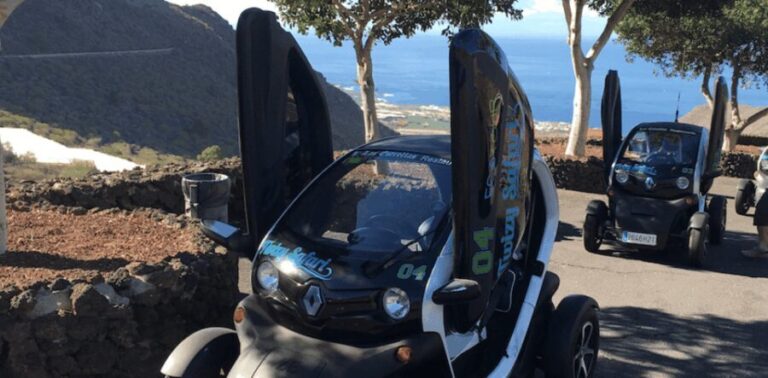 Tenerife: Private Renault Twizy Tour - Discovering Tenerifes Interior