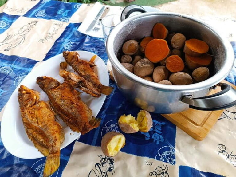 Tenerife-Puerto Cruz: Avatar Hiking, Bajamar and Cocktail - The Enchanting Avatar Forest