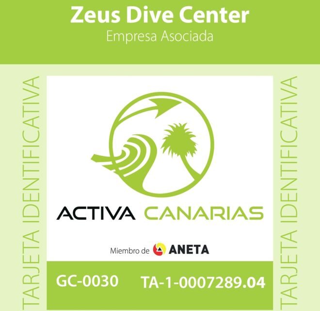 Tenerife Scuba Diving for Certified Divers - Final Thoughts