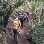 Tenerife: Senderismo Anaga, Bosque Mágico, Reserva Biosfera - The Guides and Their Role