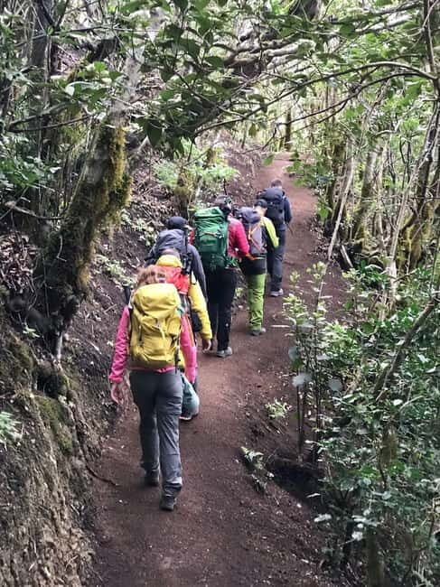 Tenerife: Senderismo Anaga, Bosque Mágico, Reserva Biosfera - The Guides and Their Role