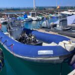 Tenerife: Snorkeling to look for Turtles and Rays - The pros of this snorkeling tour