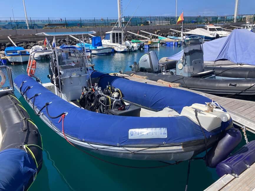 Tenerife: Snorkeling to look for Turtles and Rays - The pros of this snorkeling tour