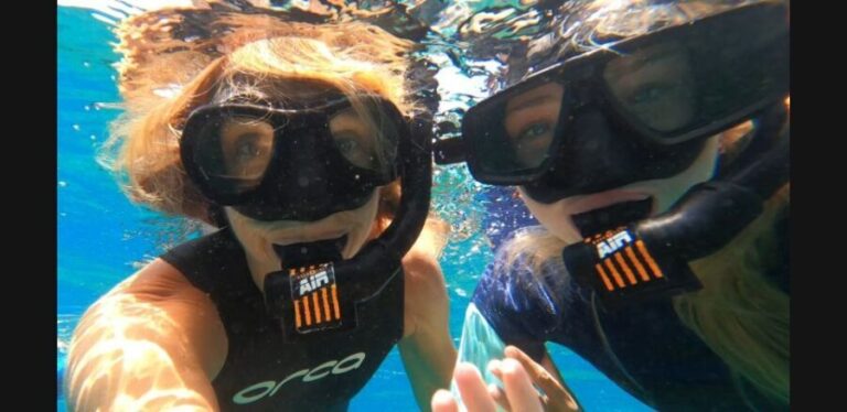Tenerife: Snorkeling Tour in a Marine Protected Area - The Equipment and Safety Measures