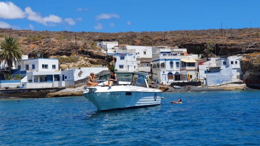 Tenerife: South Island Boat-Trip and Sea Excursion - The Value: Price and Whats Included