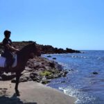 Tenerife South: Private Horseback Riding to the Coast - Why the Coast of Costa del Silencio?