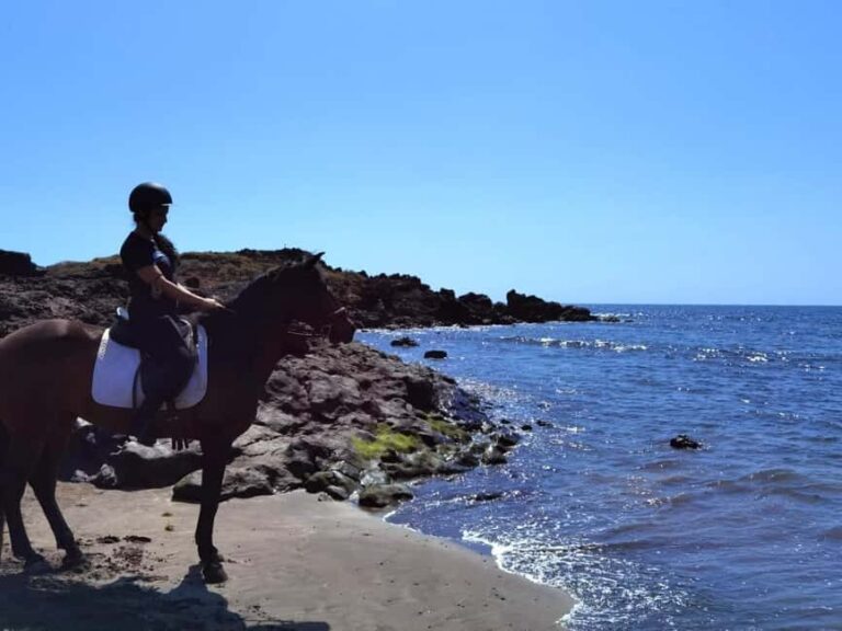 Tenerife South: Private Horseback Riding to the Coast - Why the Coast of Costa del Silencio?