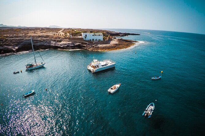 Tenerife Sunset Catamaran tour with transfer - Food and Drinks included. - Wildlife & Marine Life: Why It Matters