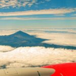 Tenerife: Teide and Las Cañadas Half-Day Tour - The Experience and Group Dynamics