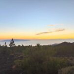 Tenerife: Teide, Masca, and Los Gigantes Cliffs Tour - What Travelers Say