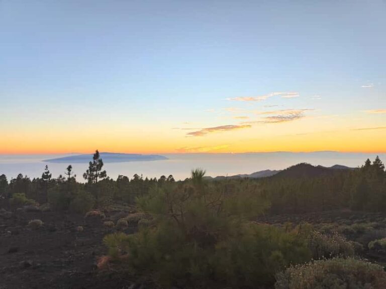 Tenerife: Teide, Masca, and Los Gigantes Cliffs Tour - What Travelers Say