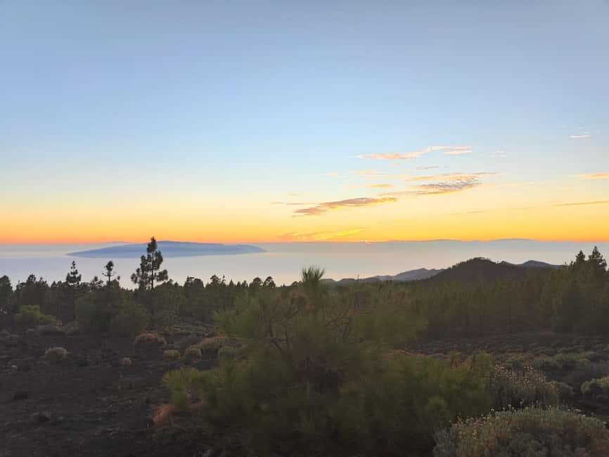 Tenerife: Teide, Masca, and Los Gigantes Cliffs Tour - What Travelers Say