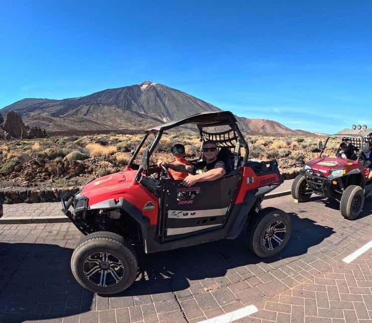 Tenerife: Teide National Park and Volcano Buggy Tour - Who Should Consider This Tour?