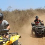 Tenerife: Teide National Park Day or Sunset Tour on Quads - What to Expect from the Tour