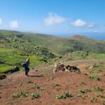 Tenerife: Teno & Lunar Scenery Guided Hike + Canarian Food - The End of the Trail: Authentic Canarian Food and Local Culture