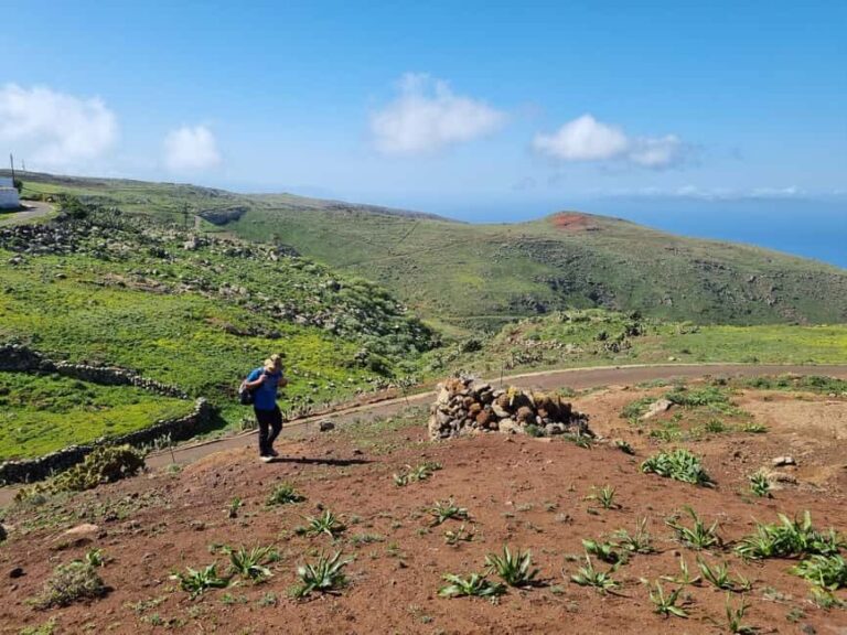 Tenerife: Teno & Lunar Scenery Guided Hike + Canarian Food - The End of the Trail: Authentic Canarian Food and Local Culture