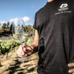 Tenerife: Tour of an Organic Vineyard with Tasting & Snacks - The Guided Experience