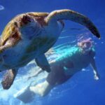 Tenerife: Turtle & Dolphin Kayak Tour with Snorkel & Wetsuit - Why This Tour Works Well
