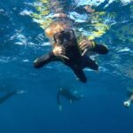 Tenerife: Underwater Lava Tongues Snorkel Excursion - The Value of This Tour