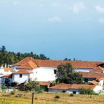 Tenerife: Vilaflor, Winery, and Aloe Vera Plantation Tour - Practical Details and Considerations