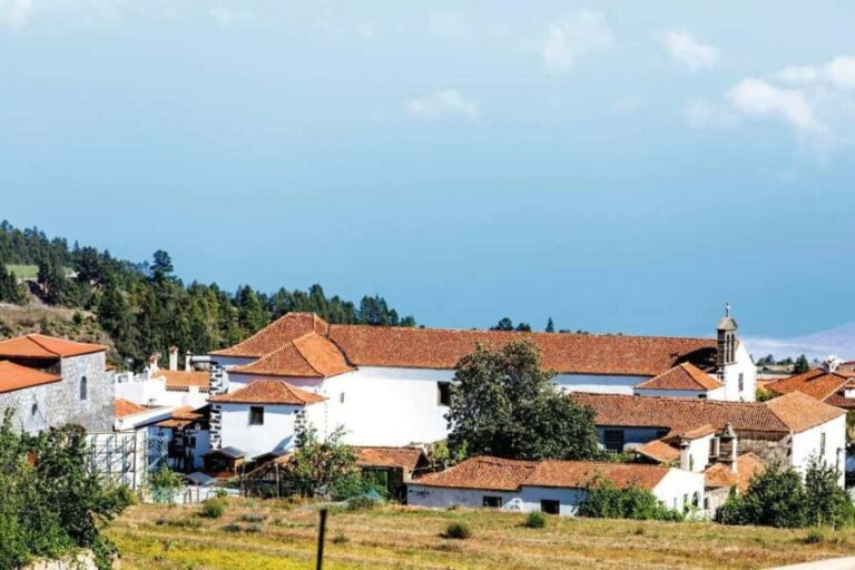 Tenerife: Vilaflor, Winery, and Aloe Vera Plantation Tour - Practical Details and Considerations