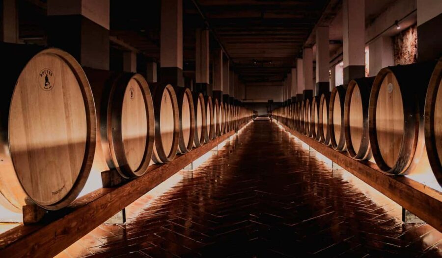 Tenute Girolamo: Winery Tour and Deluxe Tasting in the Itria Valley - The Wines and Tastings