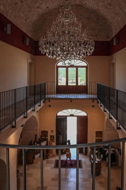 Tenute Girolamo: Winery tour and VIP tasting in the Itria Valley - The Details of the Itinerary