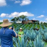 Tequila and Guachimontones Full Day Private Tour - Authentic Experiences & Practical Tips
