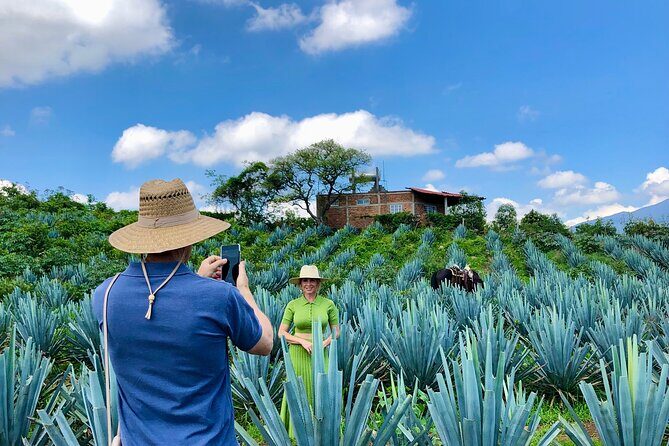 Tequila and Guachimontones Full Day Private Tour - Authentic Experiences & Practical Tips