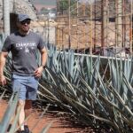 Tequila Day Trip - Who Would Love This Tour?