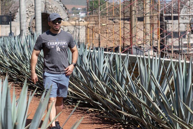 Tequila Day Trip - Who Would Love This Tour?