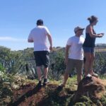 Tequila Jalisco Full Day Tour from Puerto Vallarta - Transport & Comfort