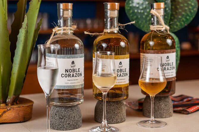 Tequila Tasting and Mixology Experience in Cancun - What’s Included and What’s Not