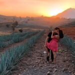 Tequila tour with tasting. - Practical Details and Considerations