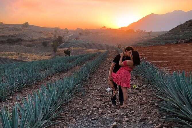 Tequila tour with tasting. - Practical Details and Considerations