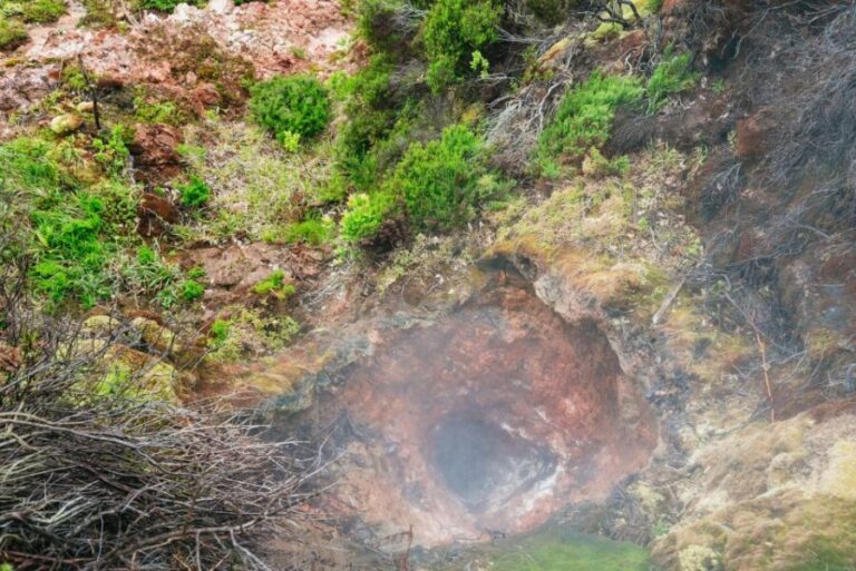 Terceira: Algar do Carvão Lava Caves Tour - Who Is This Tour Best For?