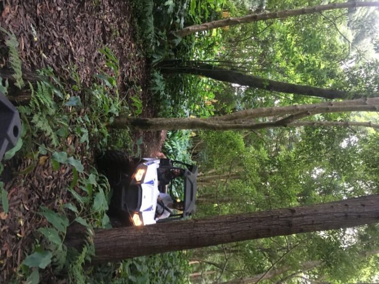 Terceira: Buggy Tour 4x4 West Side Azores Retreat - Who Will Love This Tour?