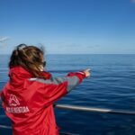 Terceira: Half-Day Dolphin and Whale Watching Tour - What to Expect on the Water