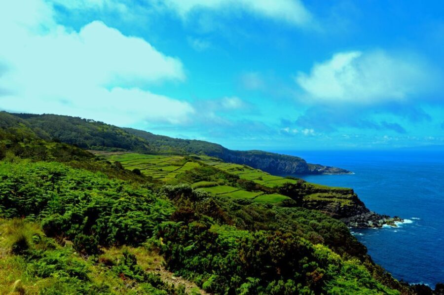 Terceira: Half-Day Island Tour with Cheese Tasting - Detailed Breakdown of the Itinerary
