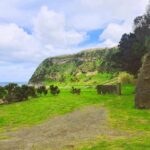 Terceira Island: Baías da Agualva Hike + Picnic + Biscoitos - What’s Included and How It Adds Value