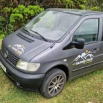 Terceira Island: Full Day Van Tour with Traditional Lunch - The Value of the Experience