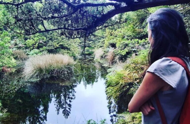 Terceira Island : Hiking Trail Mistérios Negros - A Closer Look at the Trail