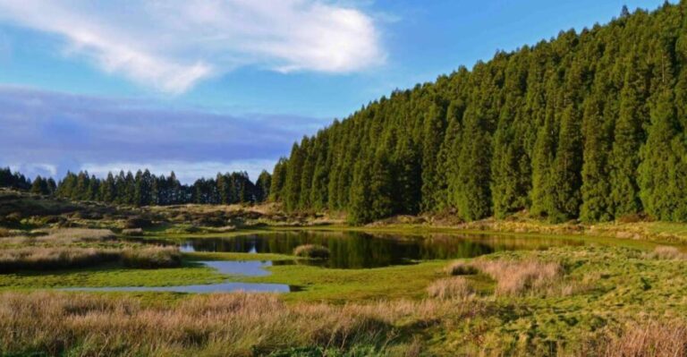 Terceira Island: Mistérios Negros Hiking - Transportation, Duration, and Group Size