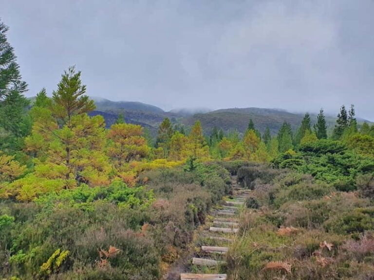 Terceira Island: Mistérios Negros & Mist. Novo Hike w/picnic - Scenic Picnic at Pico Gaspar