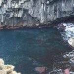 Terceira Island: Walking Trails Hiking Tour - The Trail Options and Highlights