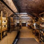 Testaccio: exclusive tasting of Lazio PDO cheeses - The Authenticity and Reviews