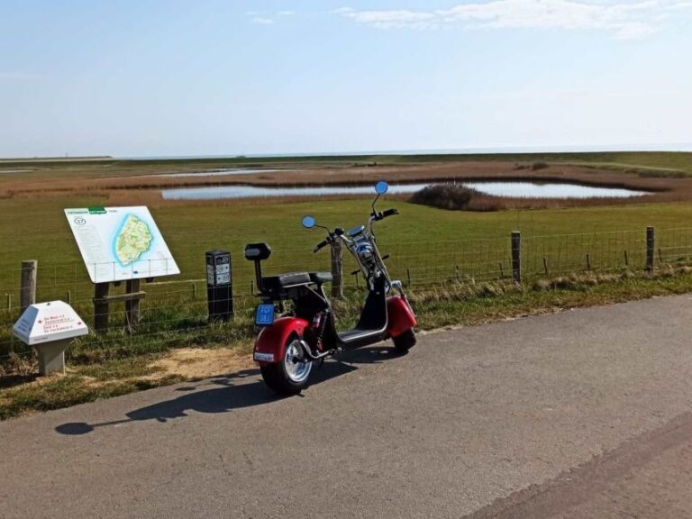 Texel: E-Scooter Rental - The Total Package: Is It Worth It?