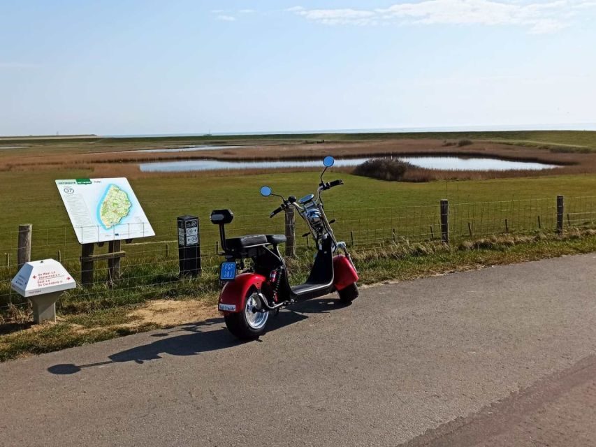Texel: E-Scooter Rental - The Total Package: Is It Worth It?